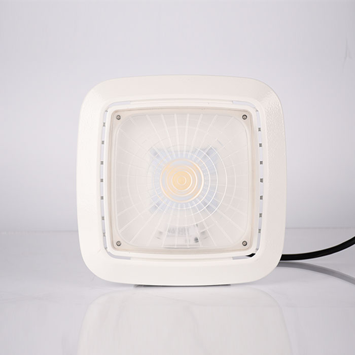 60W LED车库灯 PG230