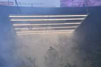 对植物生长为什么要选择LED植物生长灯