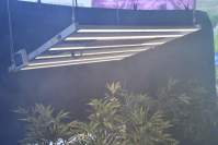 为什么改用LED植物生长灯是明智之举