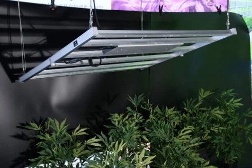 植物的聚光灯-1000wled植物生长灯