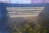 耀嵘厂家告诉你选择720wled植物灯补光的小技巧！