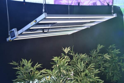 中国广东深圳耀嵘LED植物灯对植物的光补偿点的重要性