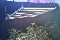 LED植物灯对城市蔬菜种植的优势