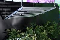 LED植物灯在什么样的环境下最适合植物生长