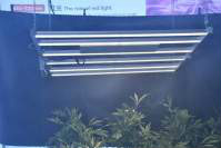 耀嵘LED植物灯九大特点