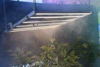 耀嵘LED植物灯除了植物补光其他的四大作用