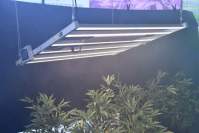 选择耀嵘科技LED植物灯的好处