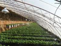 如何延长LED植物灯的使用寿命周期？