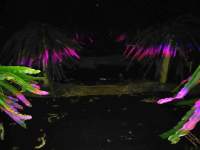 LED植物灯光质对植物种子萌发和根系生长的影响