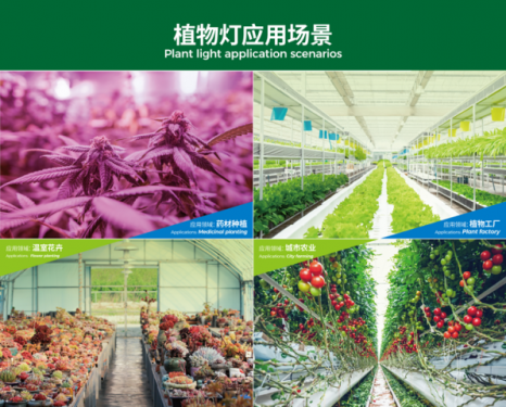 央视带货！CCTV-2报道，耀嵘照明植物灯「出圈」了